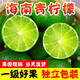 囧仙子海南新鮮青檸檬皮薄多汁一級小青檸香水綠色檸檬整箱當(dāng)季水果 1斤 單果50g起