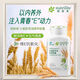 安利安利Amway紐崔萊小麥胚芽油營(yíng)養膠囊VE天然維生素E油 小麥胚芽油膠囊225粒