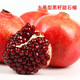 石榴樹(shù)苗無(wú)籽突尼斯河陰軟籽石榴苗庭院陽(yáng)臺南北方種植盆栽地栽特大石榴果樹(shù)苗當年結果 大果型黑籽石榴5年苗（當年結果）