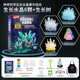 育兒寶水晶種植試驗套裝親子交流科學(xué)物理化學(xué)實(shí)驗科教玩具小學(xué)手工 水晶種植豪華版6顆
