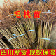 四川毛桃樹(shù)苗毛桃砧木毛桃實(shí)生苗野生桃樹(shù)苗占地樹(shù)苗南北方栽種 地徑1cm粗【嫁接專(zhuān)用】 50株【修剪40公分】