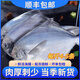 鮮拔頭籌新鮮海捕銀鯧魚(yú)4斤 青島海捕小鯧魚(yú)平魚(yú)特大白倉魚(yú)海鮮水產(chǎn)魚(yú)類(lèi) 4斤/包 4-5條/斤