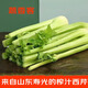 蔬香客 西芹榨汁芹菜新鮮蔬菜黃芹菜芹菜心生吃涼拌壽光特產(chǎn) 精選5斤裝