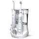 潔碧（Waterpik）Wp-861 電動(dòng)牙刷水牙線(xiàn)水牙器潔牙器二合一去除牙菌斑便攜沖牙器牙醫推薦牙齒清潔