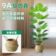 百動(dòng)龜背竹仿真大型綠植盆栽辦公室內(nèi)假花卉仿生植物樹擺件裝飾1.2米