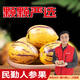 呈西優(yōu)品【采銷(xiāo)直播推薦】民勤人參果微甜人生果新鮮水果當季水果甘肅民勤 【特大果】?jì)糁?斤單果160g以上