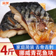 朵芙挪威青花魚片 特大深海鯖魚片青魚鮐鲅魚新鮮冷凍生鮮魚類 【2斤*2包】簡裝青花魚塊凈重