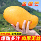 庾豐 海南金煌芒果 新鮮水果整箱 熱帶青皮芒 當(dāng)季孕婦 生鮮 5斤裝（凈果4.5斤）單果150g+
