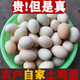 四川農村散養正宗土雞蛋新鮮現撿山雞蛋 烏柴雞蛋 笨雞蛋整箱30枚 30個(gè)