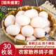 稻禾盛夏新鮮土鴿子蛋雜糧喂養農家正宗白鴿蛋信鴿蛋孕婦寶寶 30枚新鮮大鴿蛋【700克以】