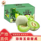 正宗海南冰淇淋玉菇甜瓜 9斤新鮮水果當(dāng)季小香瓜瓜蜜羊角哈密5瓜 3斤裝（1-2個(gè)）