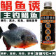 杰米仕（JMISI）鯧昌魚(yú)誘專(zhuān)用小藥黑坑餌料窩料鉤誘鯧魂野釣紅鯧肉食尾黑鯰魚(yú) 鯧魚(yú)誘(2瓶)