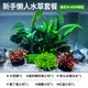 瘋狂水草（FKSC）魚(yú)缸水草真水草凈化底部水草坨草水榕皇冠草趴地矮珍珠直接入缸 無(wú)需底沙 入缸成景【適合30-40cm缸】
