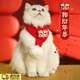 LISM貓咪新年圍巾狗狗過(guò)年圍脖寵物飾品圍巾口水巾生日小貓圣誕配飾 年獸圍巾 針織款 M