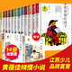 全套14冊(cè) 童眸/我要做好孩子/今天我是升旗手等黃蓓佳傾情小說系列兒童文學(xué)中小學(xué)生課外書籍
