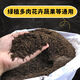 松針土君子蘭腐葉土綠蘿蘭花土文竹蘆薈腐殖土種菜養花通用營(yíng)養土 腐殖松針?lè )鬯橥?0斤(已發(fā)酵)）