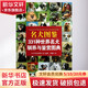 名犬圖鑒 331種世界名犬馴養與鑒賞圖典