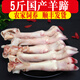 羊蹄生鮮 羊蹄子農(nóng)家散養(yǎng)羊小腿新鮮冷凍燒烤食材 5斤裝