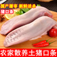 新鮮豬舌頭豬口條土豬豬口條豬門腔豬下水鹵貨食材冷凍無根鹵菜 2只裝【約1斤】