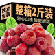 鑫然空心山楂0蔗糖添加正宗沂蒙山去核山楂干零食獨(dú)立包裝蜜餞果脯 空心山楂【250g*2袋】
