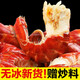 龍蝦尾 無(wú)冰衣特級大號 蝦尾新鮮鮮活冷凍生鮮蝦球小龍蝦尾 無(wú)冰蝦尾特級大號150只/斤
