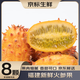 優(yōu)味集【JD速發(fā)】火參果新鮮水果的刺角瓜火星果海參火生果稀有罕見刺果 4枚裝（顆顆嚴(yán)選） 商超級(jí)大果250-300g