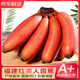 優(yōu)味集紅皮香蕉【JD速發(fā)】紅美人紅紫皮米芭應季孕婦水果整箱 2500g凈重裝（超劃算）5斤