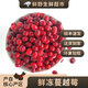 【現(xiàn)貨】黑龍江撫遠(yuǎn)新鮮蔓越莓冷凍鮮果 女性泡水酸水果莓果漿果 【鮮凍蔓越莓】 2斤（順豐）
