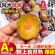 GANXIAN新疆法蘭西梅【順豐】新疆發(fā)貨 新鮮現摘 當季核小肉厚樹(shù)熟甜西梅 4斤禮盒裝 大果（單果25-35克）