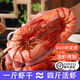 東山島九節(jié)蝦干即食特大號(hào)斑節(jié)對(duì)蝦干蝦仁干烤蝦海產(chǎn)干貨孕婦零食 蝦王九節(jié)蝦干一斤（約20只）