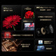 TCL85T8G Max 85英寸 QLED量子點(diǎn) 4K 144Hz 2.1聲道音響 超清巨幕全面屏 液晶智能 85英寸 官方標配