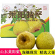 曠古農(nóng)業(yè)山東萊陽慈梨新鮮茌梨 正宗煙臺蘆兒港村當(dāng)季蜜梨禮盒裝中秋送禮7斤 8枚禮盒裝沙地種植