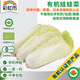彩虹雨北京農(nóng)場有機(jī)娃娃菜400g有機(jī)蔬菜有機(jī)生鮮自有農(nóng)場新鮮直發(fā)