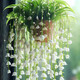 鈴蘭花苗濃香帶芽多年生四季開花室內(nèi)陽臺綠植盆栽耐寒好養(yǎng)活花卉 7-垂絲白鈴蘭20顆