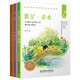冰心三部曲 冰心兒童文學(xué)全集： 寄小讀者+繁星·春水+小桔燈（套裝3冊(cè)）中小學(xué)生閱讀名篇 現(xiàn)代小說(shuō)散文作品詩(shī)歌全集