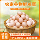 舌尖攻略蛋墩墩農(nóng)家散養(yǎng)雞蛋谷飼鮮雞蛋農(nóng)家雞蛋早餐食材蛋白單枚40g±5g 谷飼鮮雞蛋 50枚