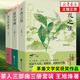 【贈(zèng)多功能折頁(yè)】望江南 茅盾文學(xué)獎(jiǎng)得主王旭烽小說(shuō) 浙江文藝出版社 你一句春不晚，我就到了真江南 現(xiàn)代當(dāng)代文學(xué) 鳳凰新華書(shū)店旗艦店正版書(shū)籍 茶人三部曲（南方有嘉木 不夜之侯 筑草為城）