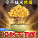 祥隱【普陀山直發(fā)】黃水晶發(fā)財(cái)樹(shù)居家辦公室招財(cái)聚寶盆車(chē)載搖錢(qián)樹(shù)擺件 店長(zhǎng)自用【招財(cái)吸金】黃水晶款
