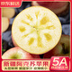 優(yōu)味集阿克蘇蘋果【JD速發(fā)】新疆冰糖心富士水果丑蘋果新鮮時令送禮生鮮 500g裝(小試嘗鮮-貴在運(yùn)費(fèi)) 商超精選果80mm+