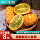 裕農(nóng)叔【JD速發(fā)】新鮮火參果孕婦水果刺角甜瓜福建當(dāng)季火生火星果整箱 2枚裝(小試嘗鮮) 商超級(jí)大果250-300g