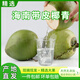 帶皮椰青海南文昌直供9個(gè)裝現(xiàn)摘帶皮椰子天然新鮮應(yīng)季水果椰子汁 2個(gè)裝 帶皮椰青（送開椰工具+吸管）