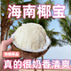 花農(nóng)氏海南椰寶牛奶椰寶椰子芽椰椰青老椰子芽椰子芯熱帶水果煲湯燉雞湯 椰寶 2個(gè)