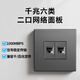 LSNUO雙口網(wǎng)絡(luò)面板六類千兆網(wǎng)線插座面板三口四口3位4位電腦插座面板 【六類千兆】雙口面板-灰色