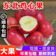 辰實(shí)【發(fā)順豐】東北雞心海棠果 沙果龍豐果 東北特產(chǎn)小蘋(píng)果新鮮 3斤（雞心海棠果）推薦