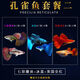 墨之瑤孔雀純種熱帶觀(guān)賞魚(yú)淡水熱帶魚(yú)小型小魚(yú)好養耐活斑馬活體鳳尾瑪麗 孔雀魚(yú)套餐【2】