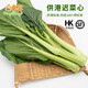 東升供港遲菜心300g嫩甜菜心清炒火鍋食材 廣州蔬菜新鮮配送