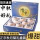 甜萌果蔬山東秋月梨 新鮮水果冰糖梨 送人送禮當(dāng)季水果年貨送禮盒 3斤手挑精品果裝【單果約250g+】