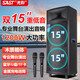 先科1507W雙15吋大功率廣場(chǎng)舞音響戶外拉桿音箱超大音量藍(lán)牙雙十五寸專業(yè)舞臺(tái)音響演出重低音K歌帶無(wú) 雙15寸重低音+雙金屬充電話筒