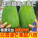 農(nóng)端優(yōu)選 越南大青芒果青皮金煌芒果熱帶進(jìn)口當(dāng)季時(shí)令新鮮現(xiàn)摘 8.5斤特大【單果600-700g】?jī)糁? title=