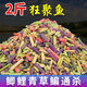 盈龍 打窩料野釣鯽魚(yú)通殺顆粒魚(yú)餌配方釣魚(yú)底窩料 彩色窩料2斤